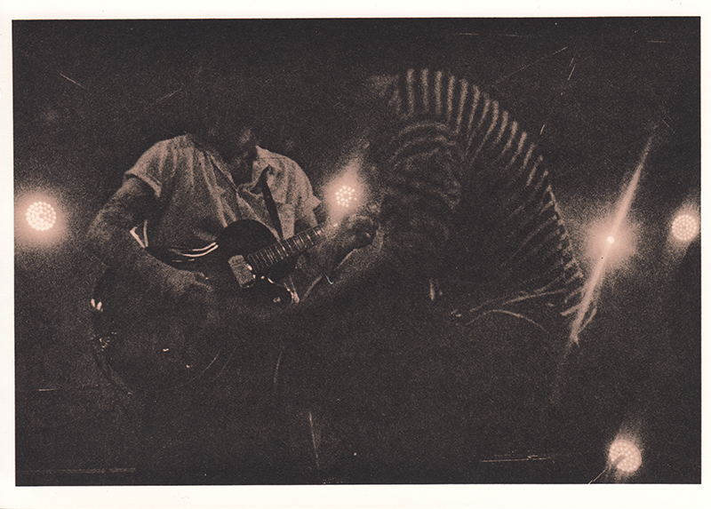 Analog photopraphy lith wetprint