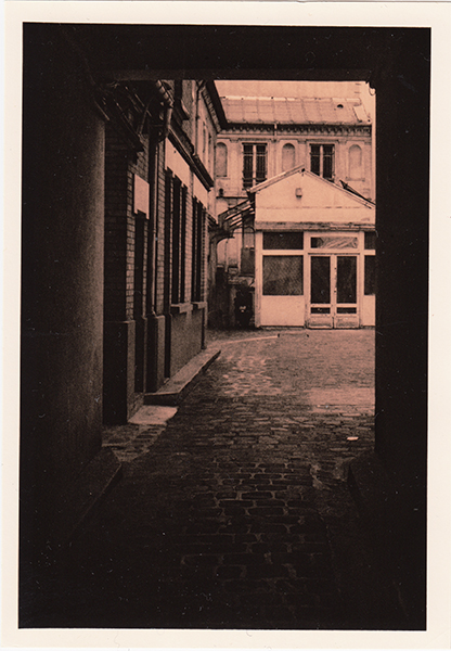 Analog photopraphy lith wetprint