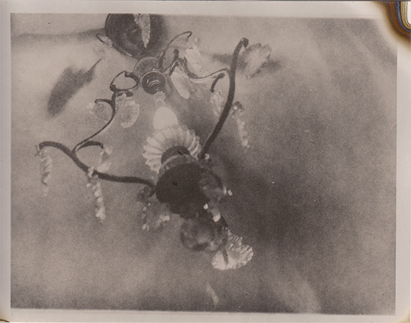 Analog photopraphy lith wetprint
