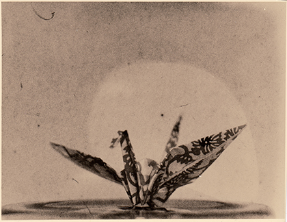 Analog photopraphy lith wetprint