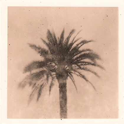Analog photopraphy lith wetprint