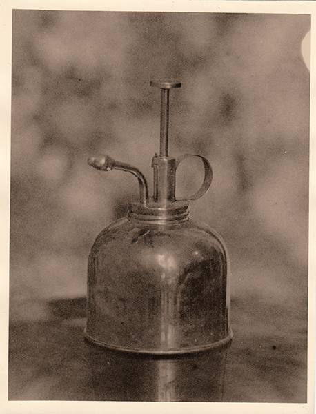 Analog photopraphy lith wetprint