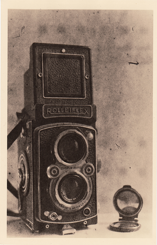 Analog photopraphy lith wetprint