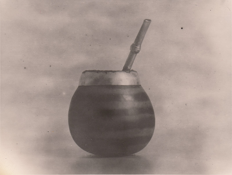 Analog photopraphy lith wetprint