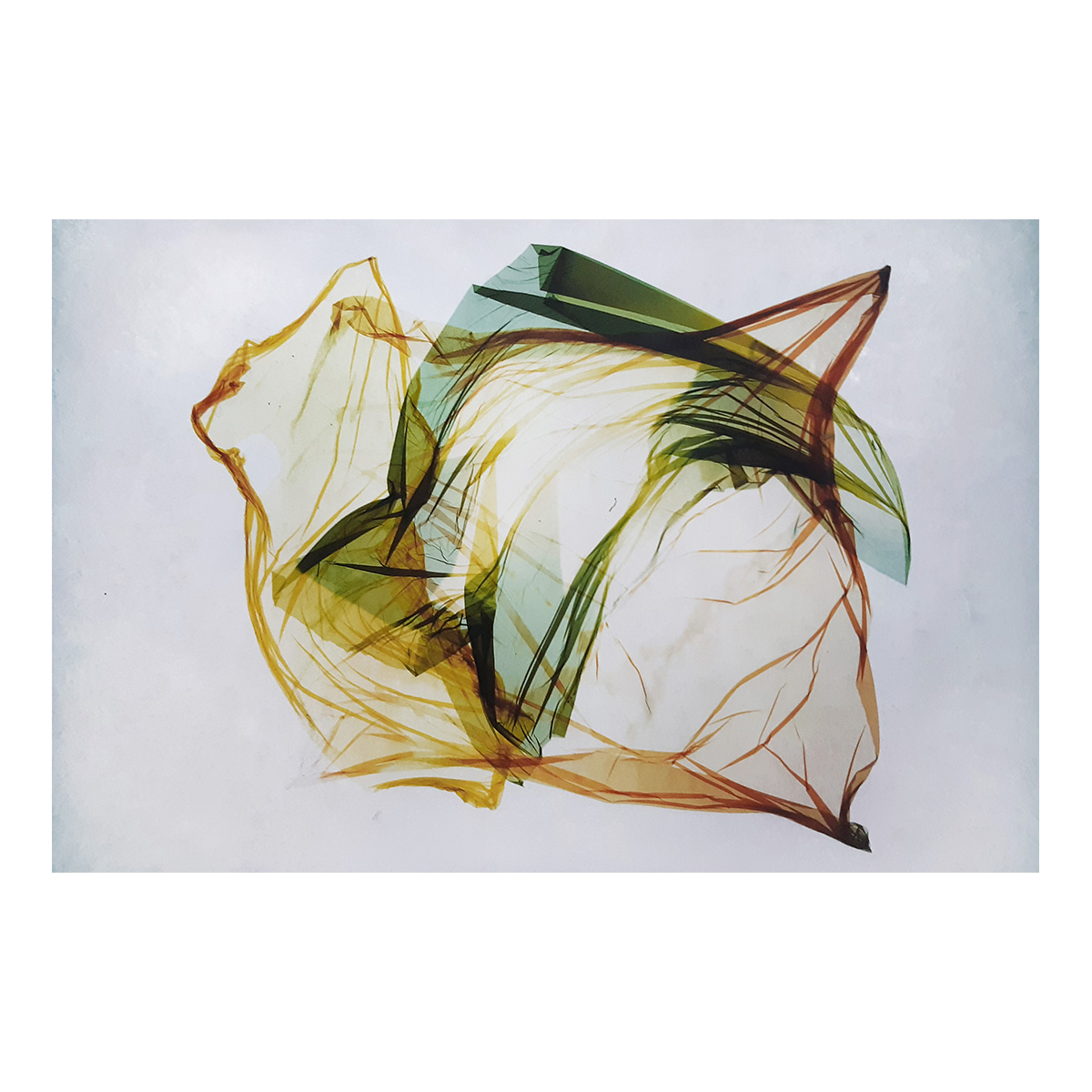 Rupture / Fusion #12